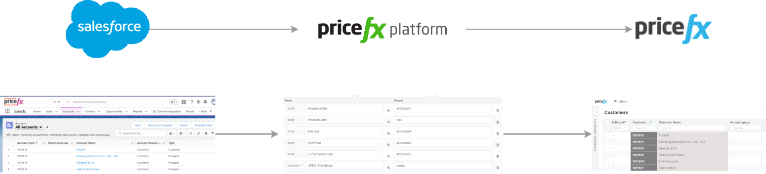 ImportAccountsFromSalesforce01.png