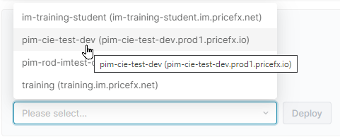 L1S7-Deploy Template.png