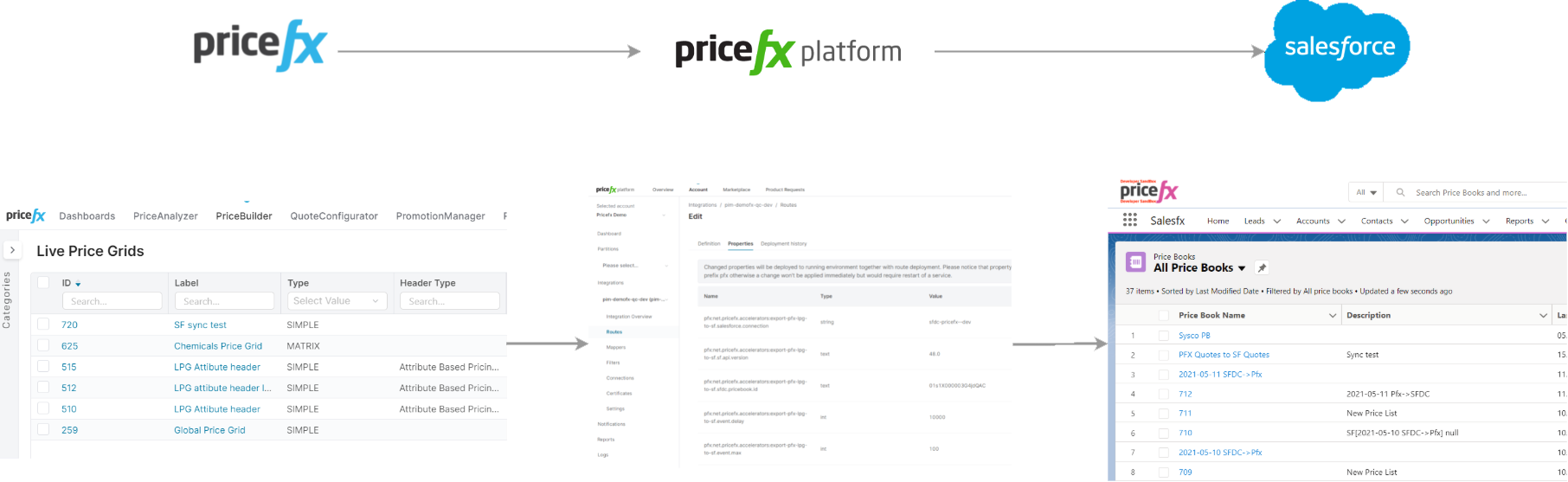 ExportLPGtoSalesforce01.png